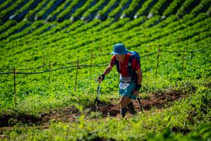 BIB: 
                            <button type="button" onclick="openModal(19160656)" class="btn btn-primary btn-sm float-right btn-popup" data-toggle="modal" data-target=".modal-high-quality">
                        <i class="fas fa-shopping-cart"></i> Add to Cart
                    </button>
                                            <button type="button" onclick="isThisMe(19160656, true)" class="btn btn-success btn-sm float-right btn-popup btn-isme hidden" data-toggle="tooltip" data-placement="bottom" title="นี่คือรูปของคุณใช่ไหม คลิกที่นี่เพื่อเอาเข้าอัลบั้ม">
                        <i class="fas fa-plus"></i> Add to album
                    </button>
                    <button type="button" onclick="isThisMe(19160656, false)" class="btn btn-warning btn-sm float-right btn-popup btn-isnotme hidden">
                        <i class="fas fa-ban"></i> Remove from album
                    </button>